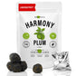9 fermentierte Pflaumen Harmonyplum