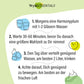 54 fermentierte grüne Pflaumen. Traditionelles Rezept. Umhüllt von Macha-Pulver