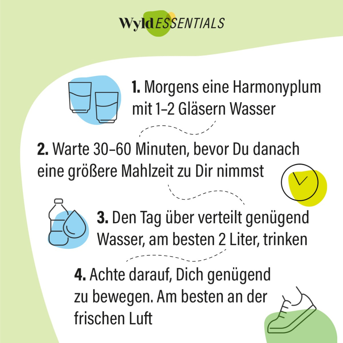 54 fermentierte grüne Pflaumen. Traditionelles Rezept. Umhüllt von Macha-Pulver