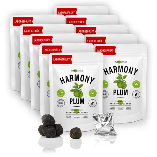 90 fermentierte grüne Pflaumen. Traditionelles Rezept. Umhüllt von Macha-Pulver
