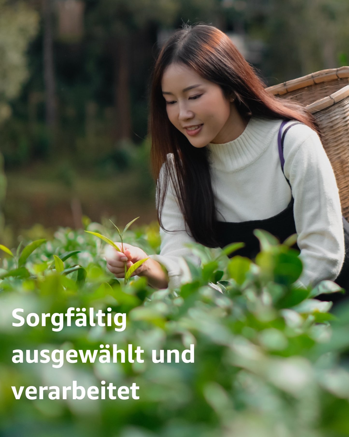 Tee-Geschenkset mit Earl Grey Superior, Rooibos & Grüner Tee a la Menthe