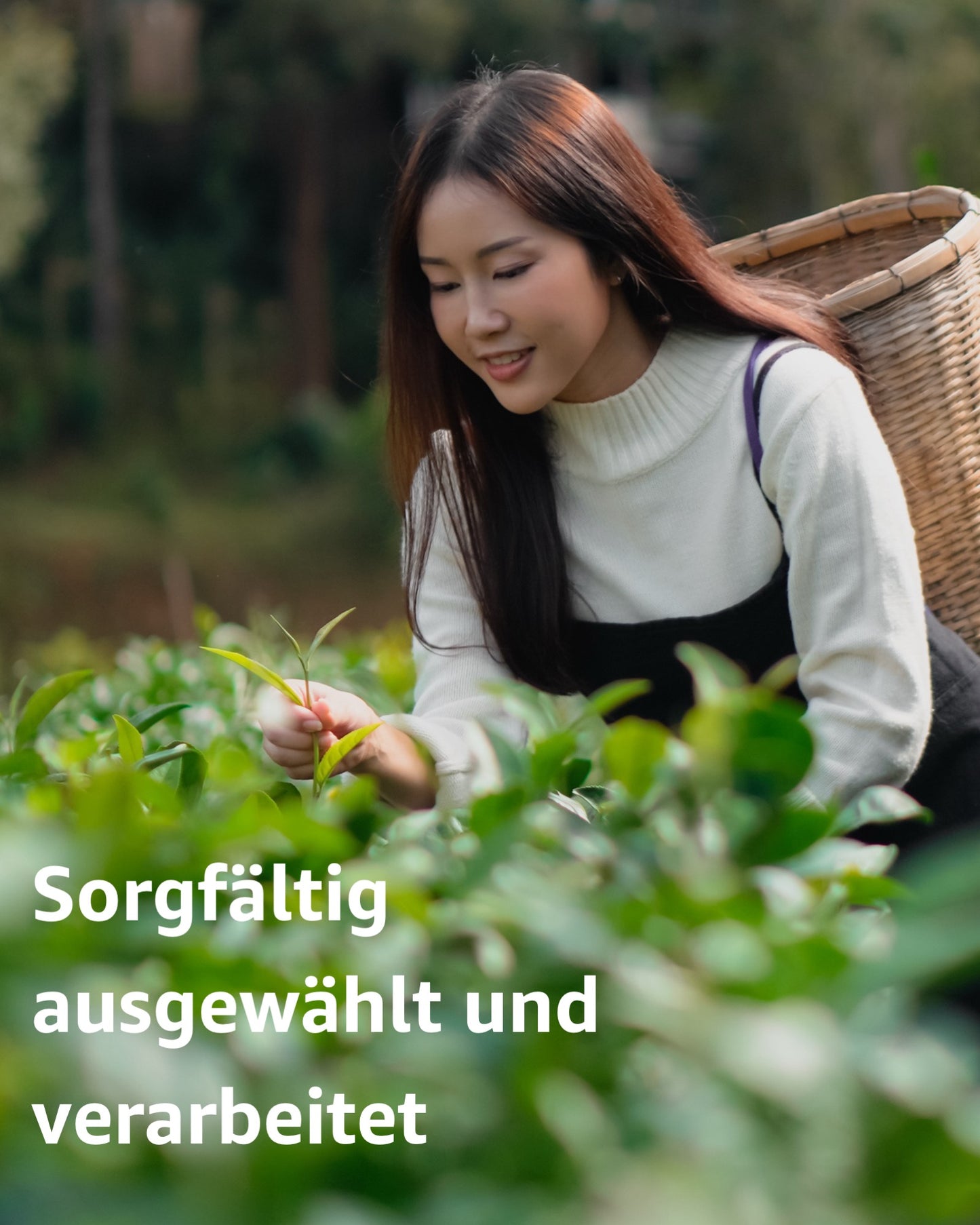 Tee-Geschenkset mit Weihnachtsteee, Thé des Neiges, Étoile d’Orient